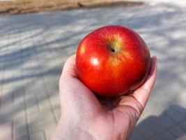 hand with a red apple photo