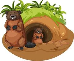 Wild animals cartoon character with burrow vector