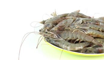 Dish of raw prawn prepare for cooking on white background photo