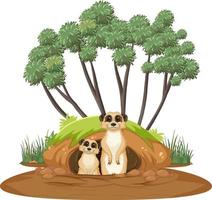 Two meerkats with burrow in cartoon style vector