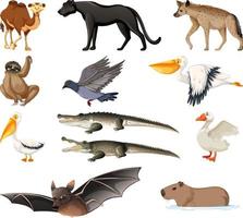 colección de diferentes tipos de animales vector