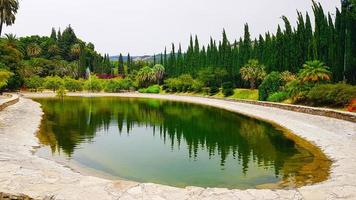 Pond with vegetation reflected in the water photo