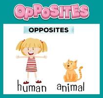 Opposite English words for kids vector