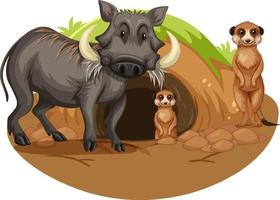 Boar and meerkats animal cartoon character vector