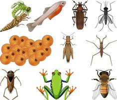 diferentes tipos de insectos y animales sobre fondo blanco vector