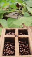 Coffee beans in a teak wood box, blurred background, vintage photo