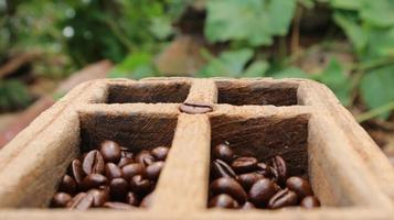 granos de café en una caja de madera de teca, fondo borroso foto