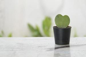 árbol en forma de corazón en maceta colocado sobre una mesa de mármol con espacio para copiar foto