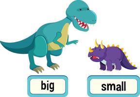 Opposite words for big and small vector