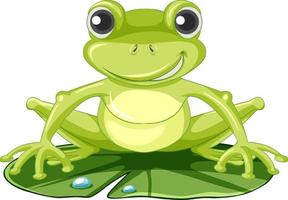 Cute green frog on lotus leaf vector