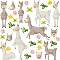 Seamless pattern with cute alpacas vector