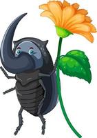 A beetle cartoon character isolated vector