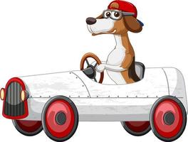 personaje de dibujos animados de perro divertido conduciendo coche sobre fondo blanco vector