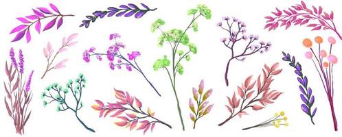 blooming wild flowers and herbs in the garden and orchard on the field, dead wild bohemian herbs and plant branches, vector illustration