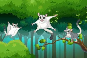 escena con planeador del azúcar en el bosque vector