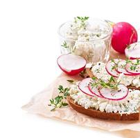 Sandwich with cottage cheese, radish, black pepper and thyme photo