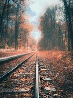 Rails on sleepers near the platform in the autumn forest photo