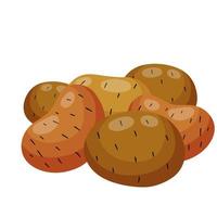 Potato. Harvesting and sowing. Set of vegetables vector