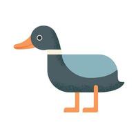 Duck mallard geometric style with orange beak. Vector wild animal geometric style on white background cute drawing