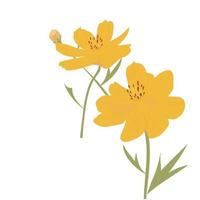 yellow cosmos on summer vector