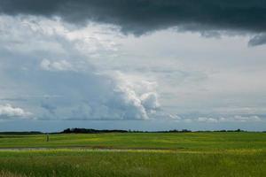 Farm land and canola crops, Saskatchewan, Canada. photo