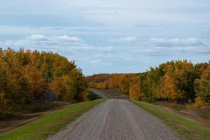 Back country road on the Canadian prairies in fall. photo