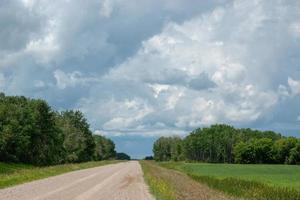 camino rural y tierras agrícolas, saskatchewan, canadá. foto