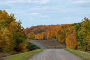 Back country road on the Canadian prairies in fall. photo