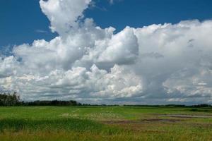 Farm land north of Churchbridge, Eastern Saskatchewan, Canada. photo