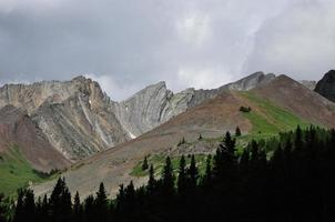 Treeline on a Mountainside photo