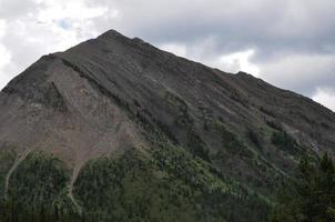 Treeline on a Mountainside photo