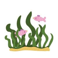 Two pink fish in algae on the bottom vector