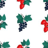 Sprig of dog rose and black currant seamless pattern. Fruit print, vector illustration in flat style.