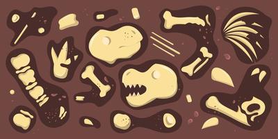 dinosaur bones are broken down in parts vector