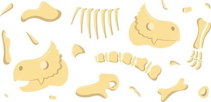 dinosaur bones are broken down in parts vector