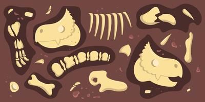 dinosaur bones are broken down in parts vector