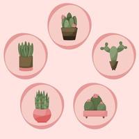 Cactus with Flowers Pots in Decorative Circles Collection, Home Decor Objects vector