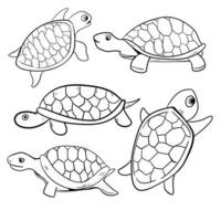 garabato de tortuga arte vectorial vector