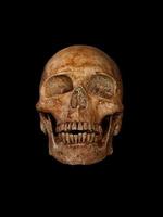 Still life with human skull on dark background