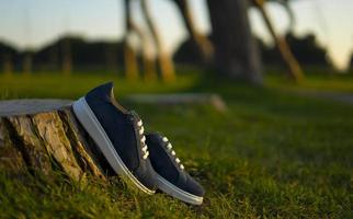 elegantes zapatos deportivos azules con antecedentes en el parque verde foto