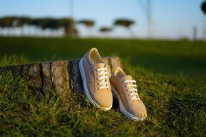 Pink sports shoes in park in springtime photo