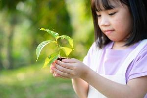 imagen niña asiática sosteniendo un retoño en la mano foto