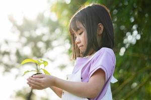 Image Asian little girl holding a sapling in her hand photo