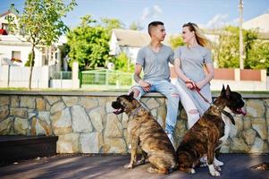 Couple in love with two dogs pit bull terrier on a walk. photo