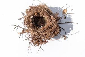 isolated empty bird's nest with little shadow on white background photo