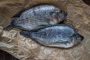 Two whole Tilapia uncooked on wax paper and dark wood background flat lay photo