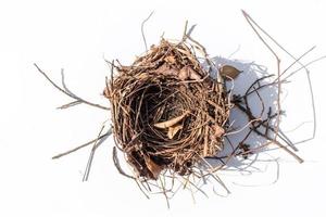 isolated empty bird's nest with little shadow on white background photo