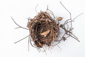 isolated empty bird's nest with little shadow on white background photo