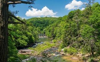 el río fluye en el parque estatal audra cerca de buckhannon en virginia occidental foto