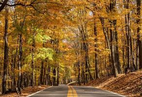 carretera que conduce al parque estatal coopers rock mirador en virginia occidental con colores de otoño foto